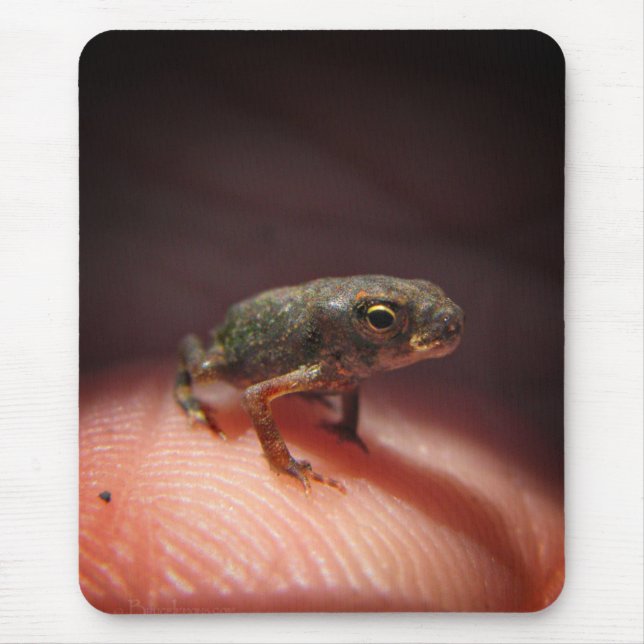 Cute Tiny Baby Toad / Tadpole Mouse Pad (Front)