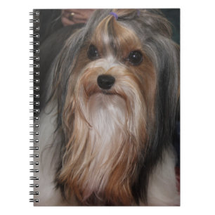 CUTE TINY BIEWER TERRIER DOG NOTEBOOK