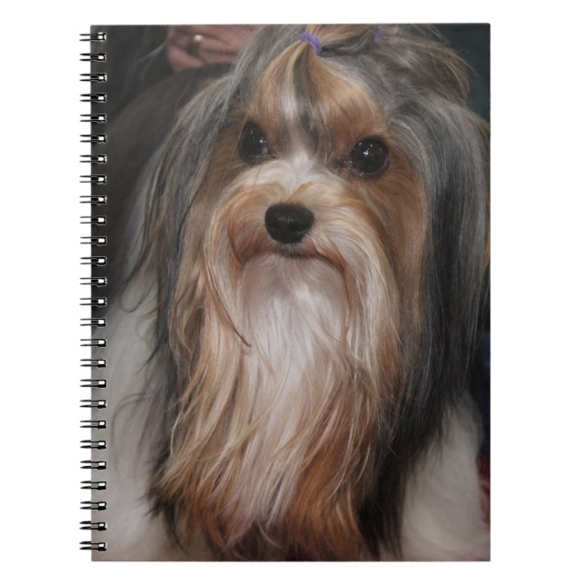 CUTE TINY BIEWER TERRIER DOG NOTEBOOK (Front)