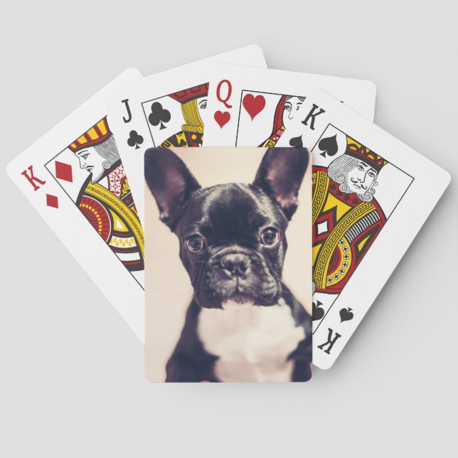 Cute Tiny Black and White Puppy Poker Cards (Back)