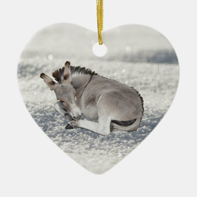 Cute Tiny Donkey Foal in Snow Christmas Ceramic Ornament (Front)