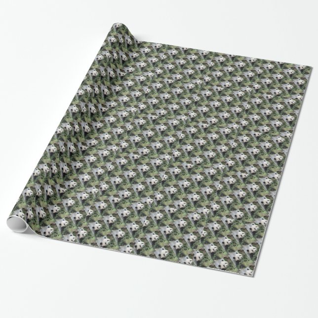 Cute Tiny Pandas, Green Wrapping Paper (Unrolled)