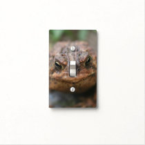 Cute Toad Frog Face Light Switch Cover