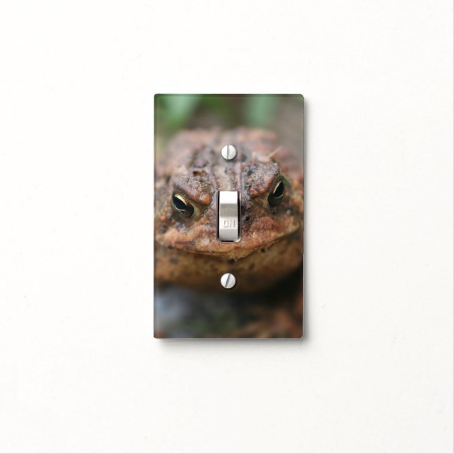 Cute Toad Frog Face Light Switch Cover (In Situ)