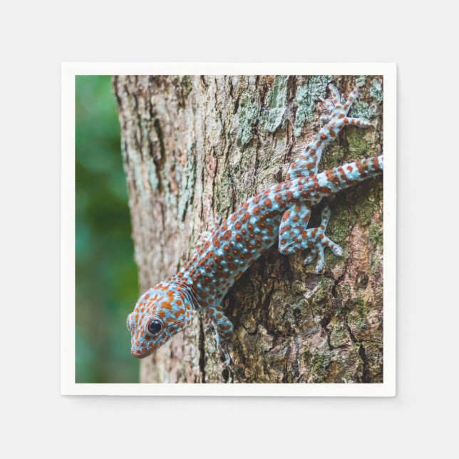 Cute Tokay Gecko Lizard Napkins (Front)