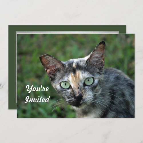 Cute Tortoiseshell Cat Photo Birthday Invitation