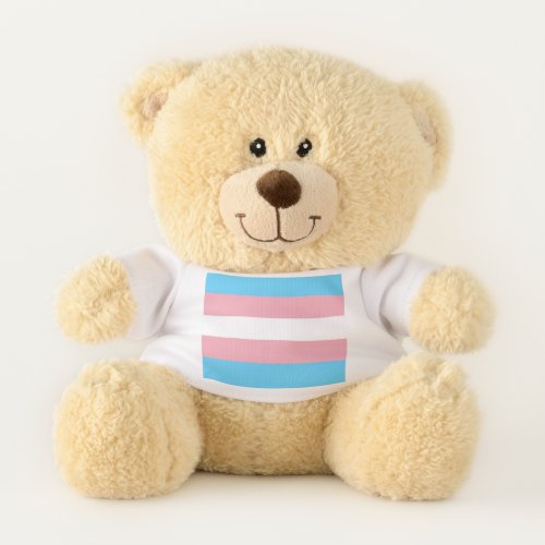 Cute Trans Teddy Bear