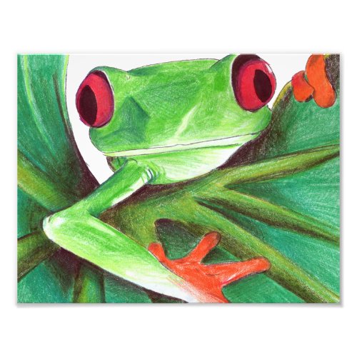 cute tree frog photo print