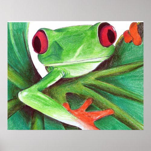 cute tree frog poster