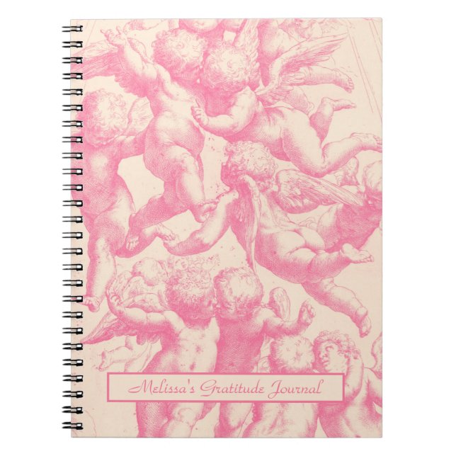 Cute Trendy Vintage Pink Angels Notebook (Front)
