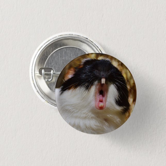 Cute Tri-color Guinea Pig Yawning Button (Front & Back)