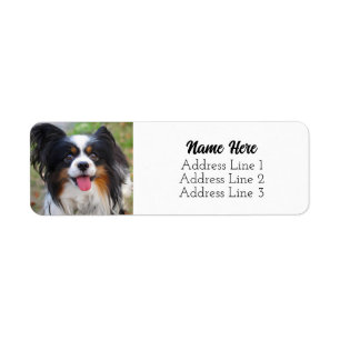 Cute Tri Color Papillon Puppy Dog Return Address Label
