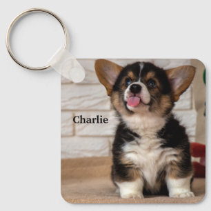Cute Tri color Pembroke Welsh Corgi Puppy Dog Keychain