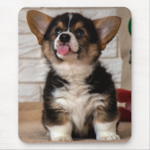 Cute Tri color Pembroke Welsh Corgi Puppy Dog Mouse Pad