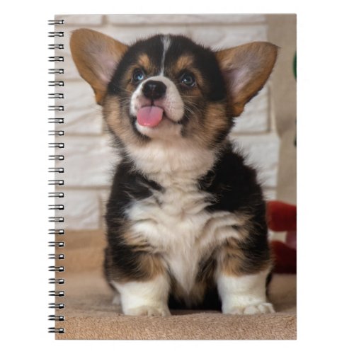 Cute Tri color Pembroke Welsh Corgi Puppy Dog Notebook