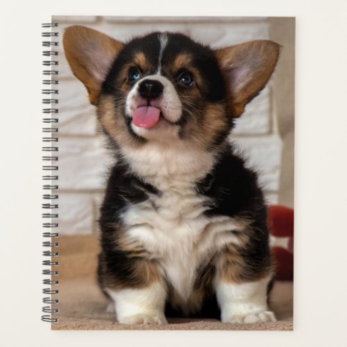 Cute Tri color Pembroke Welsh Corgi Puppy Dog Planner