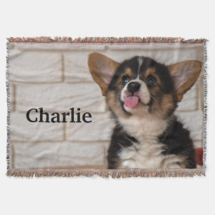Cute Tri color Pembroke Welsh Corgi Puppy Dog Throw Blanket