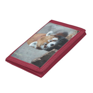 Cute Tri-fold Wallet