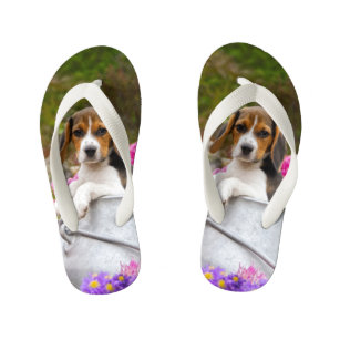 wire basket muzzle petsmart