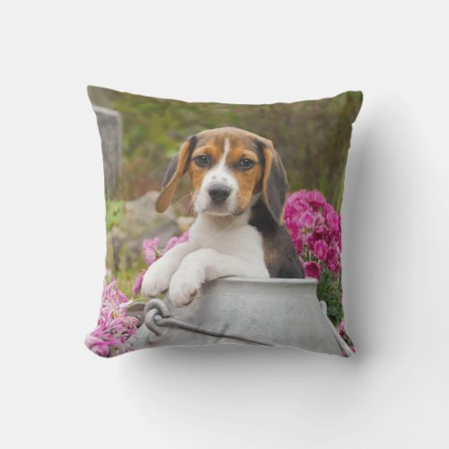 Cute Tricolor Beagle Dog Puppy in a Churn _ Outdoor Pillow
