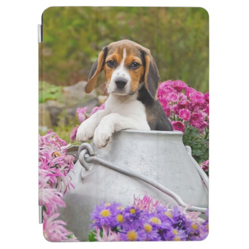 Cute Tricolor Beagle Dog Puppy in a Milk Churn _ iPad Air Cover