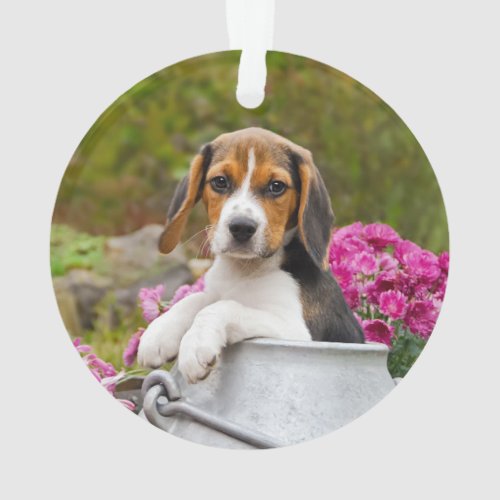 Cute Tricolor Beagle Dog Puppy in a Milk Churn _ Ornament