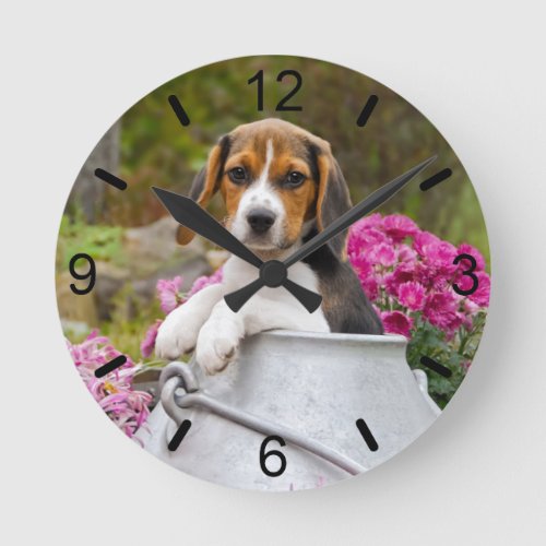 Cute Tricolor Beagle Dog Puppy in a Milk Churn Round Clock