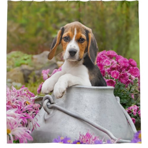 Cute Tricolor Beagle Dog Puppy in a Milk Churn _ Shower Curtain