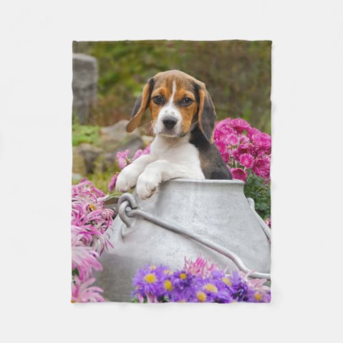 Cute Tricolor Beagle Dog Puppy in Milk Churn  cozy Fleece Blanket