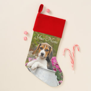 Cute Tricolor Beagle Dog Puppy in Milk Churn Name Christmas Stocking