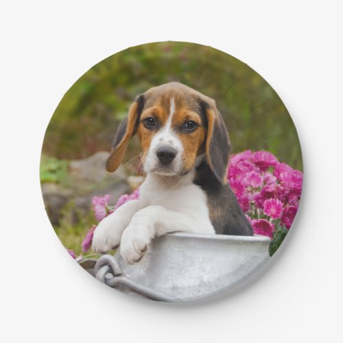 Cute Tricolor Beagle Dog Puppy in Milk Churn party Paper Plates