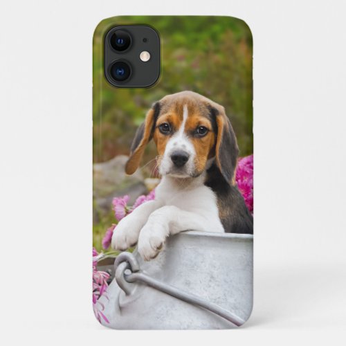 Cute Tricolor Beagle Dog Puppy Pet in a Milk Churn iPhone 11 Case
