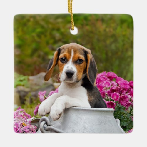 Cute Tricolor Beagle Dog Puppy Pet in a Milk Churn Ceramic Ornament
