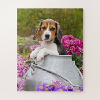 Cute Tricolor Beagle Dog Puppy Pet In A Milk Churn Jigsaw Puzzle by Kathom_Photo at Zazzle