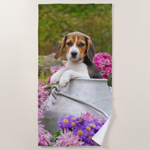 Cute Tricolor Beagle Dog Puppy Pet in Milk Churn  Beach Towel
