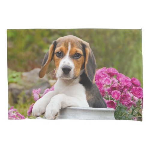 Cute Tricolor Beagle Dog Puppy Portrait Photo  _ Pillow Case