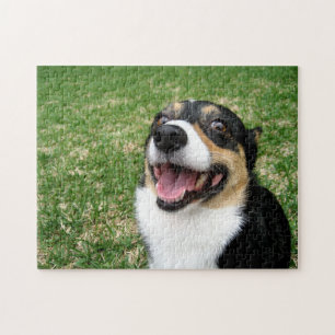 Cute Tricolor Corgi Jigsaw Puzzle