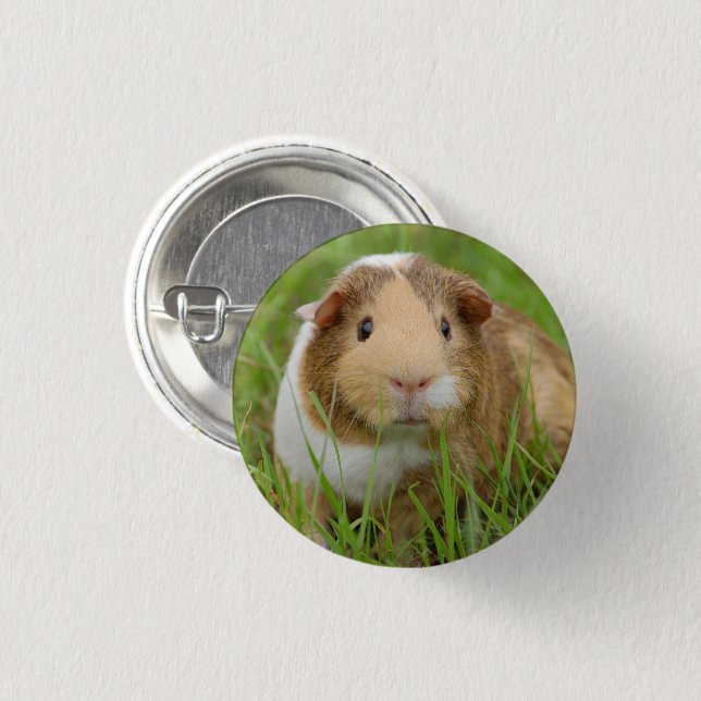Cute Tricolor Guinea Pig in Green Grass Button (Front & Back)