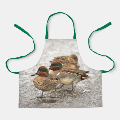 Cute Trio of Green_Winged Teals Ducks Apron