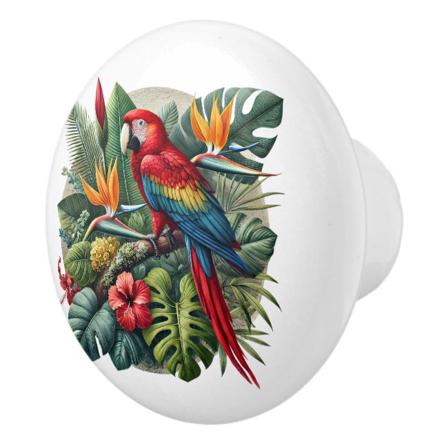 Cute tropical beach house parrot ceramic knob (Right)