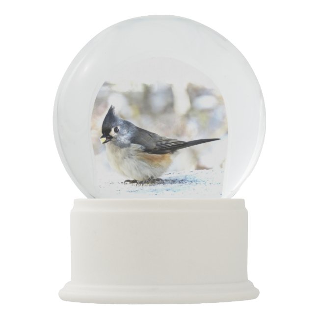 Cute Tufted Titmouse Bird Snow Globe