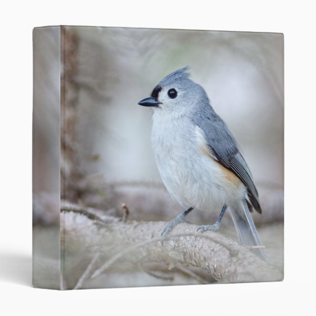 Cute Tufted Titmouse Photo Album 3 Ring Binder (Front/Spine)