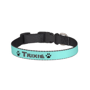 Cute Turquoise Paw Prints Girl Dogs Personalized Pet Collar