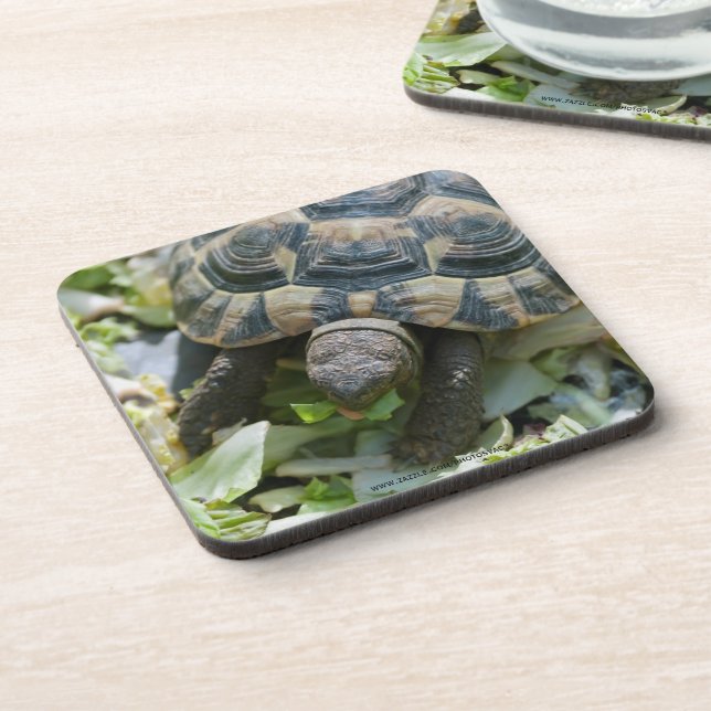 Cute Turtle Beverage Coaster (Left Side)