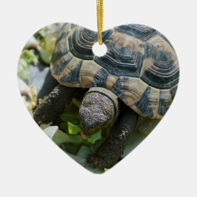 Cute Turtle Ceramic Ornament (Front)
