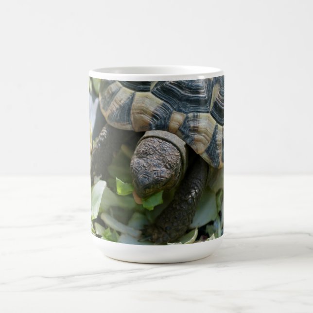 Cute Turtle Coffee Mug (Center)