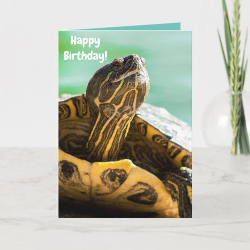 Cute Turtle Happy Birthday Card | Zazzle