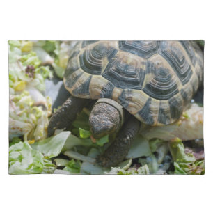 Cute Turtle Placemat