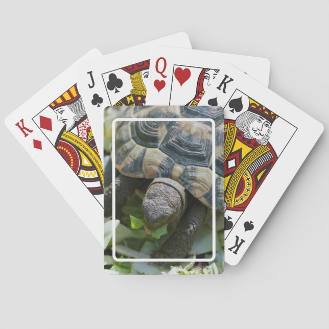 Cute Turtle Poker Cards (Back)