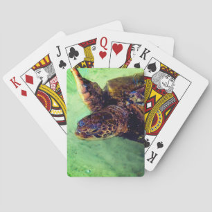 Cute Turtle Poker Cards